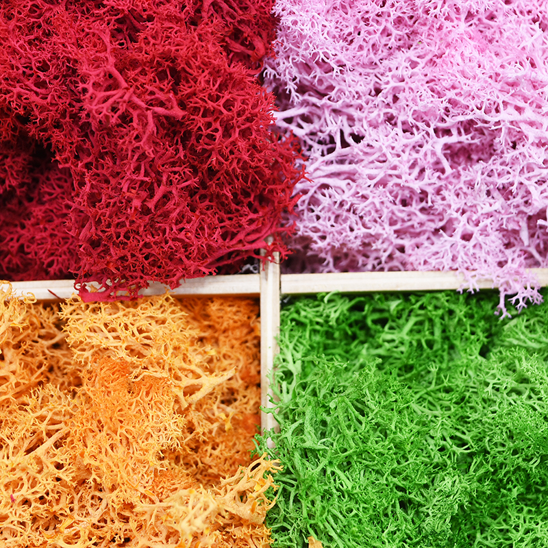 20/40g Artificial Green Plants - Sphagnum Moss Dry avaliação e preço