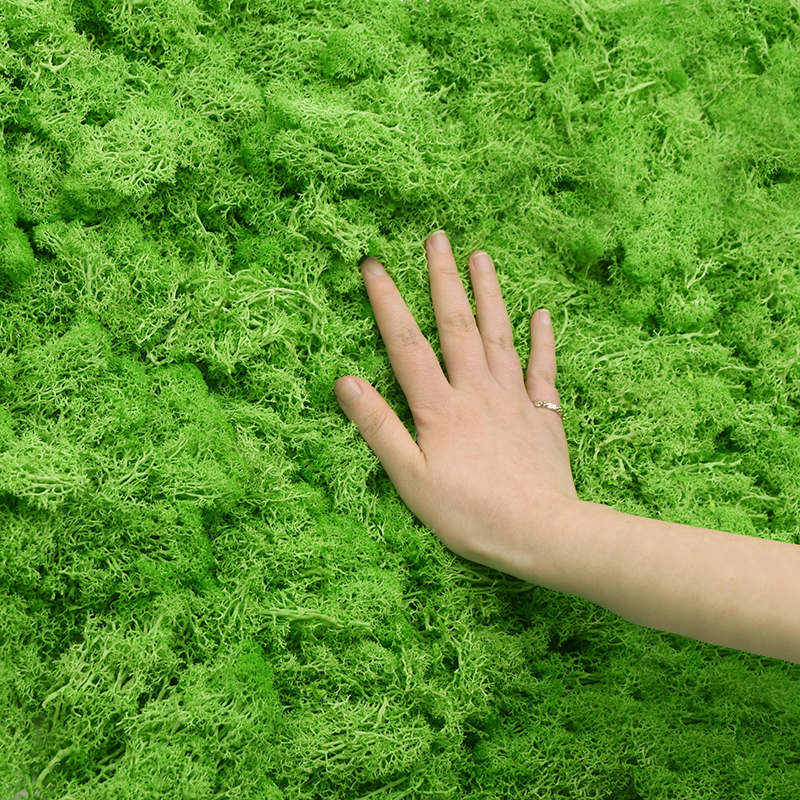 20/40g Artificial Green Plants - Sphagnum Moss Dry avaliação e preço