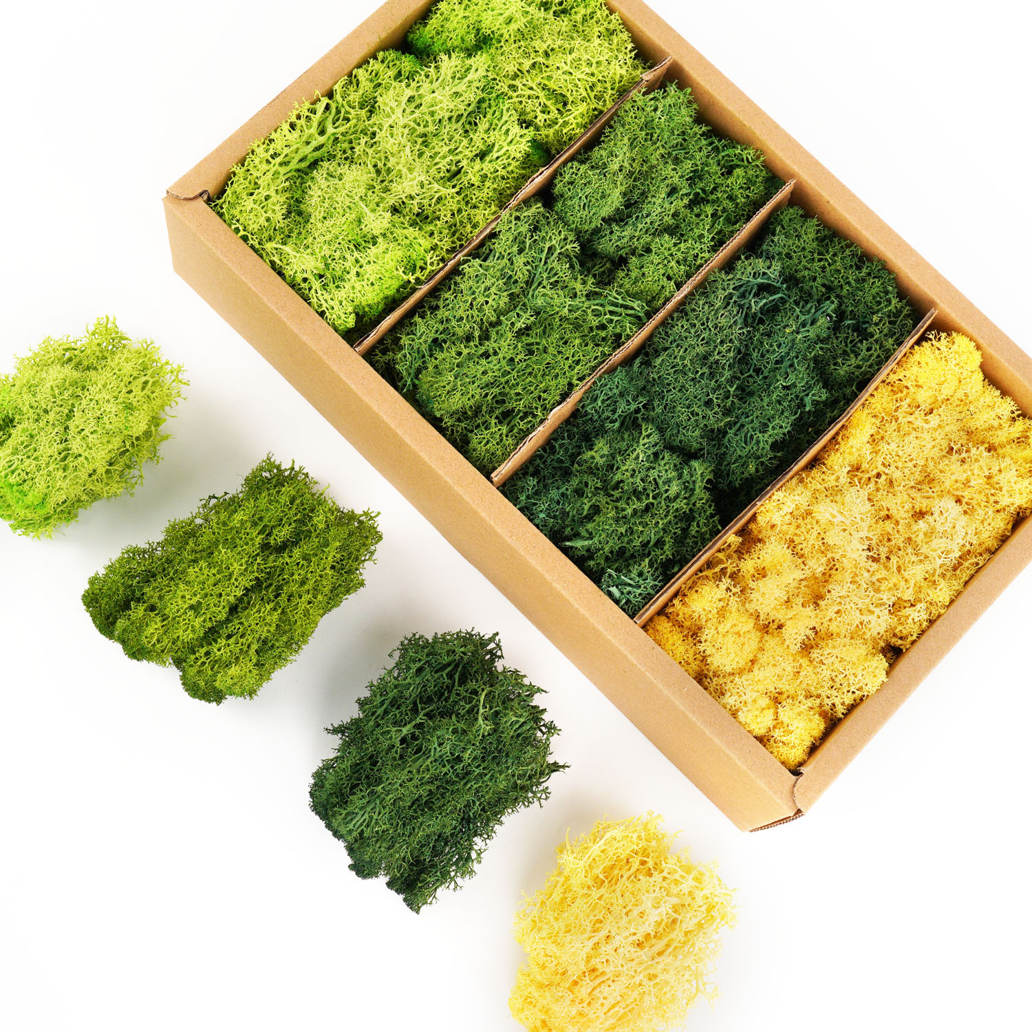 Artificial Green Plants Eterna - Sphagnum Moss Dry avaliação e preço