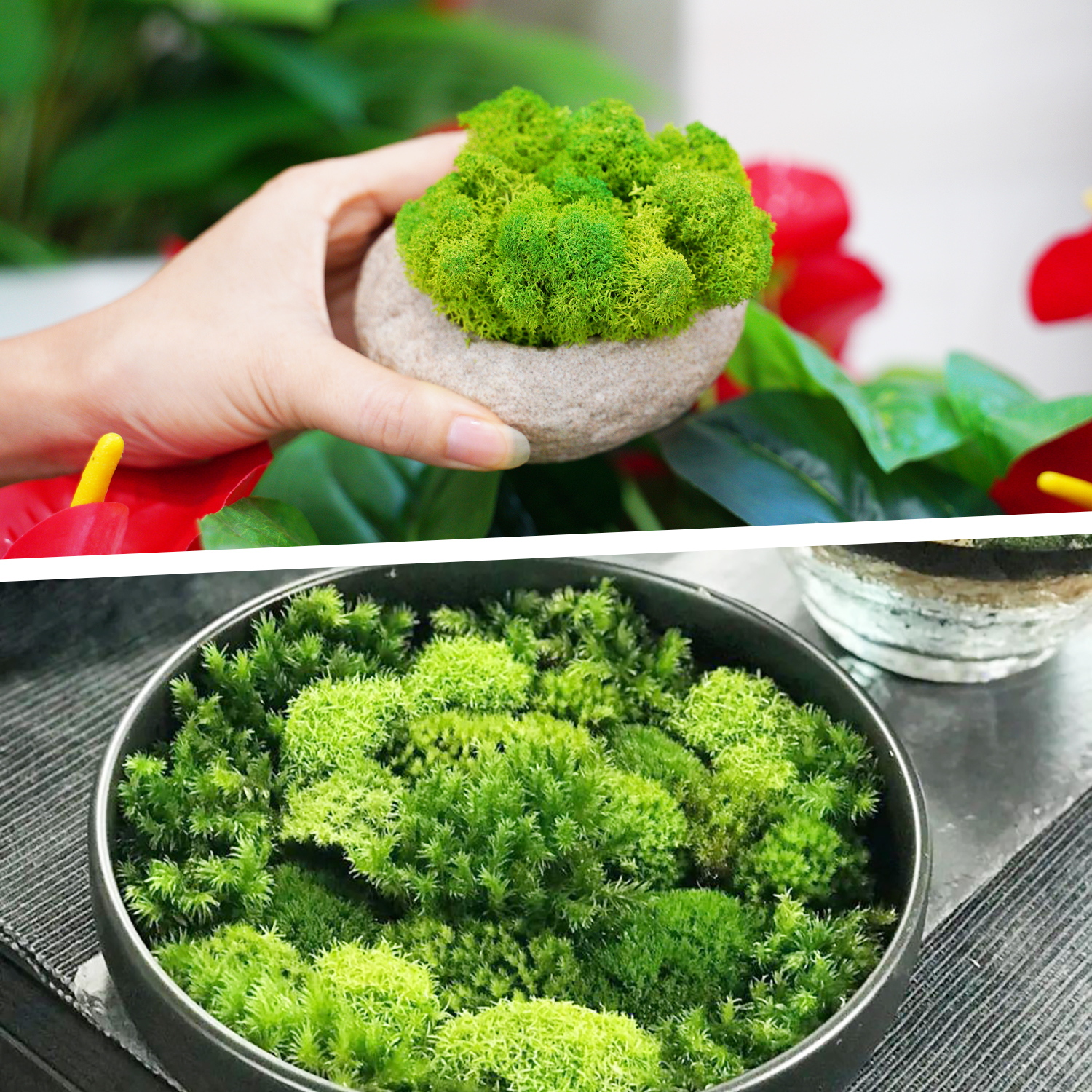 Artificial Green Plants Eterna - Sphagnum Moss Dry avaliação e preço
