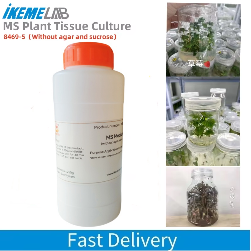 IKEME 250g Lab MS Medium Witho - Agar Tissue Culture avaliação e preço