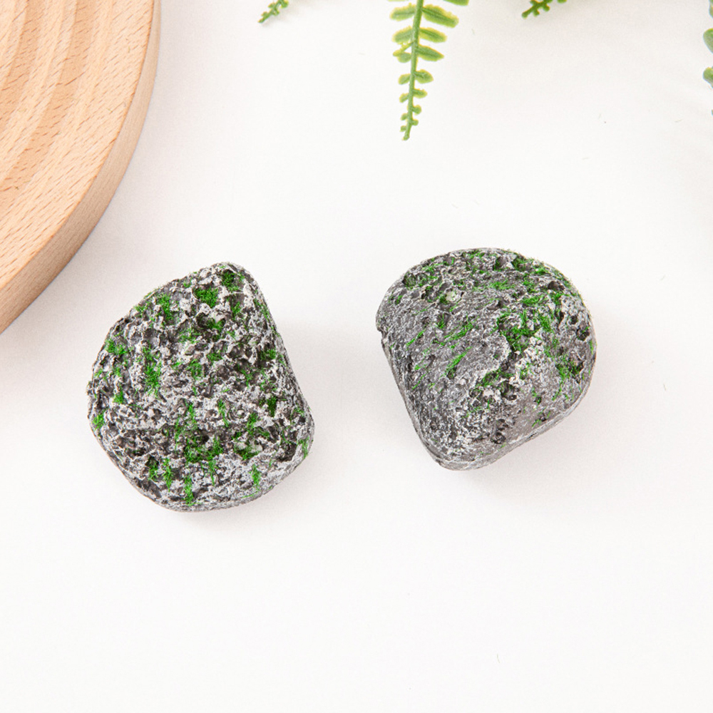 10PCS Mossy Gray Stone Multi-s - Sphagnum Moss Dry avaliação e preço