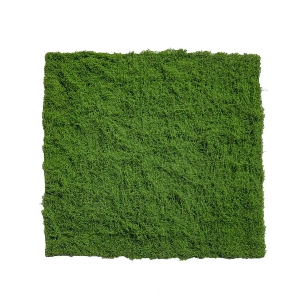 DIY Artificial Grass Rug Durab - Sphagnum Moss Dry avaliação e preço