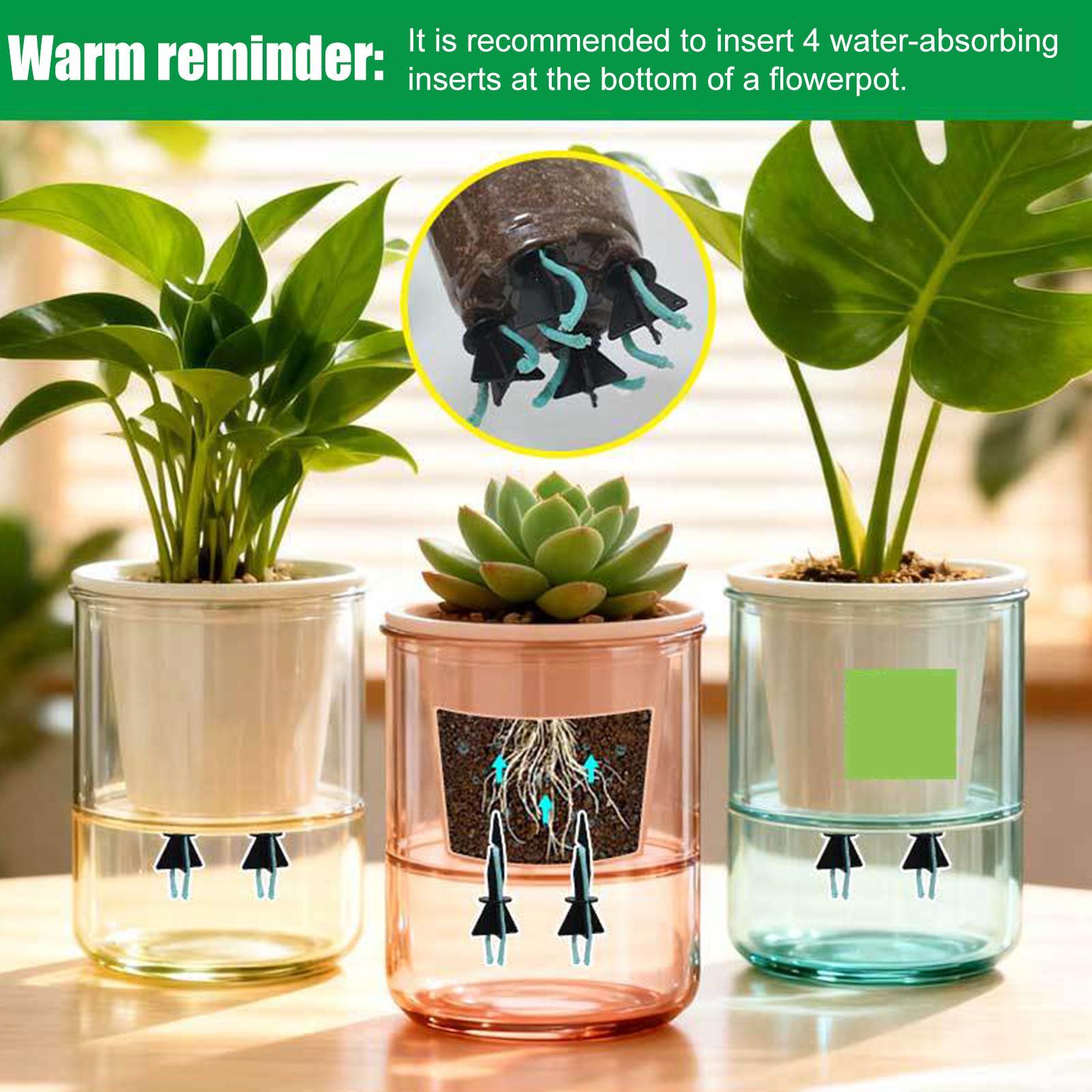 Self Watering Planter Insert 4 - Self Watering Insert avaliação e preço