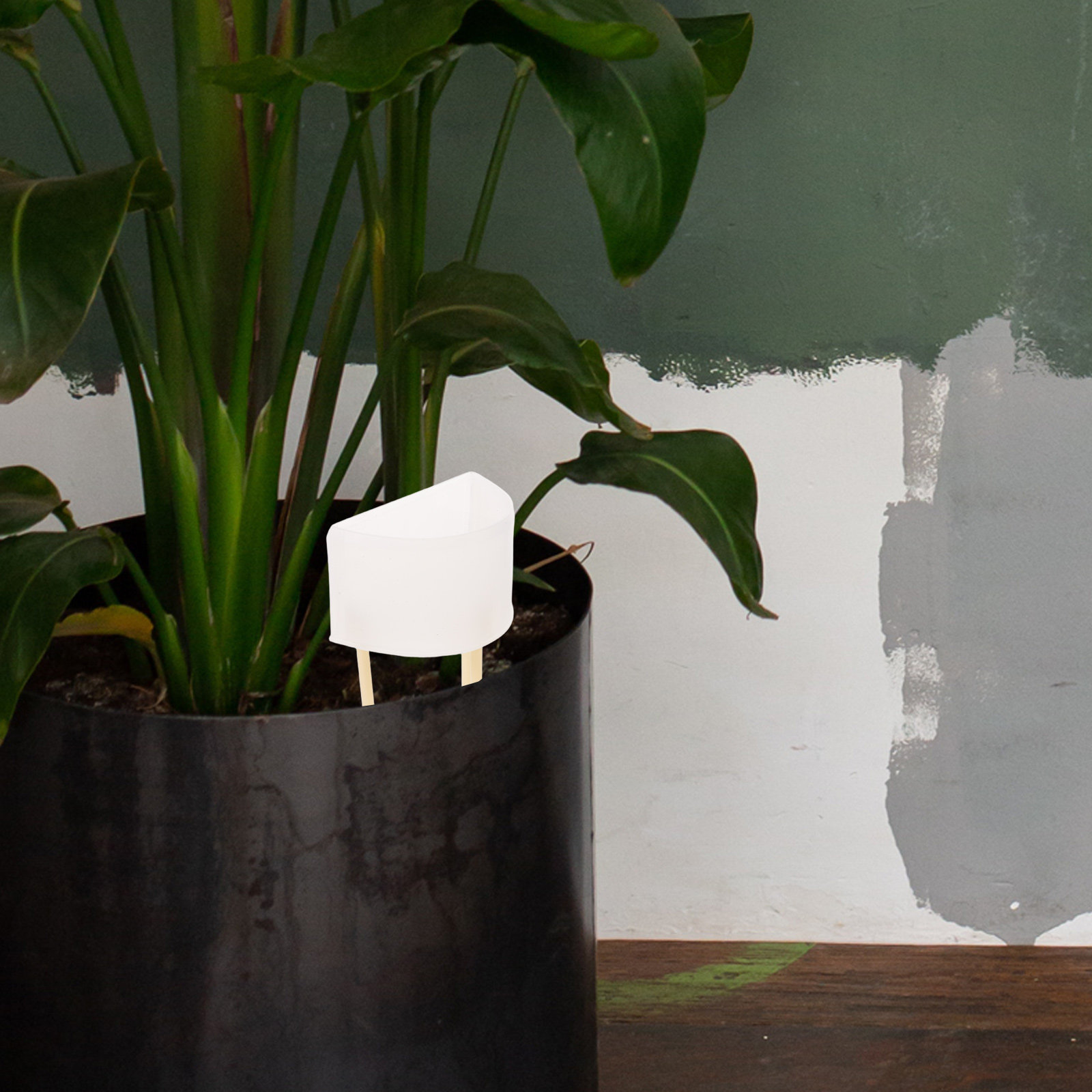 Moss Pole Watering Dripper Adj - Self Watering Insert avaliação e preço