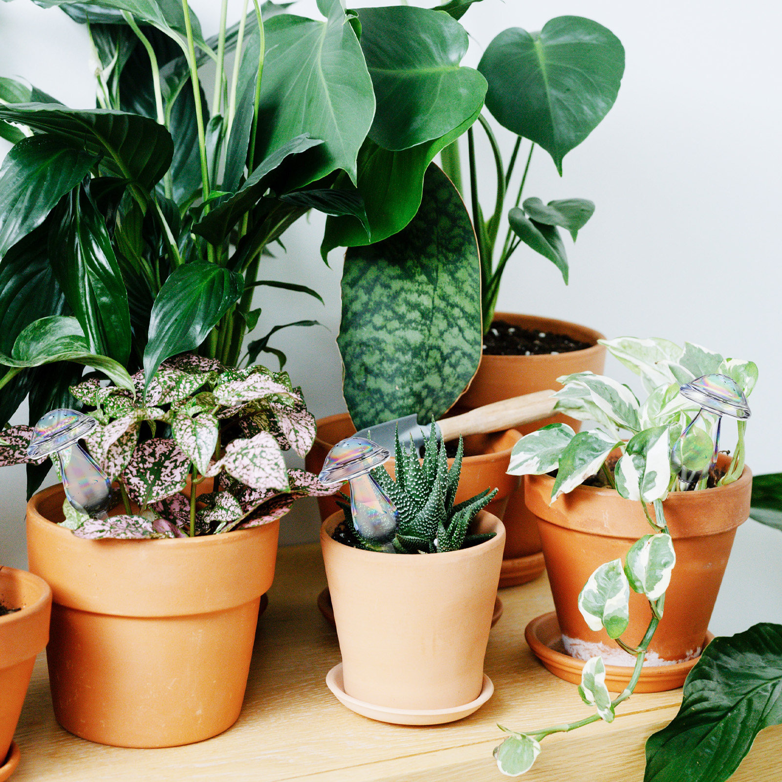 4 Pcs Pot Watering Device Plan - Self Watering Insert avaliação e preço