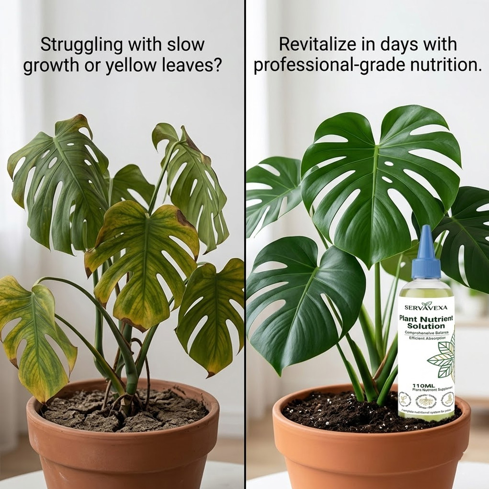 Plant  Nutrient Solution Rapid - Root Stimulator Liquid avaliação e preço
