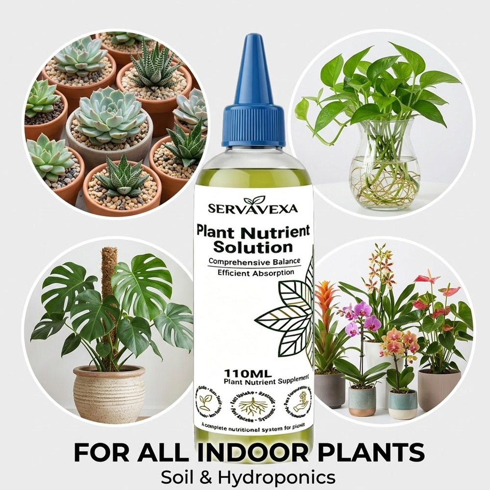 Plant  Nutrient Solution Rapid - Root Stimulator Liquid avaliação e preço