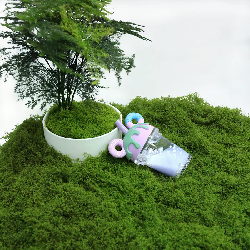 50g Fake Moss DIY Crafts Grass - Sphagnum Moss Dry avaliação e preço