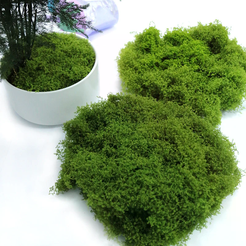50g Fake Moss DIY Crafts Grass - Sphagnum Moss Dry avaliação e preço