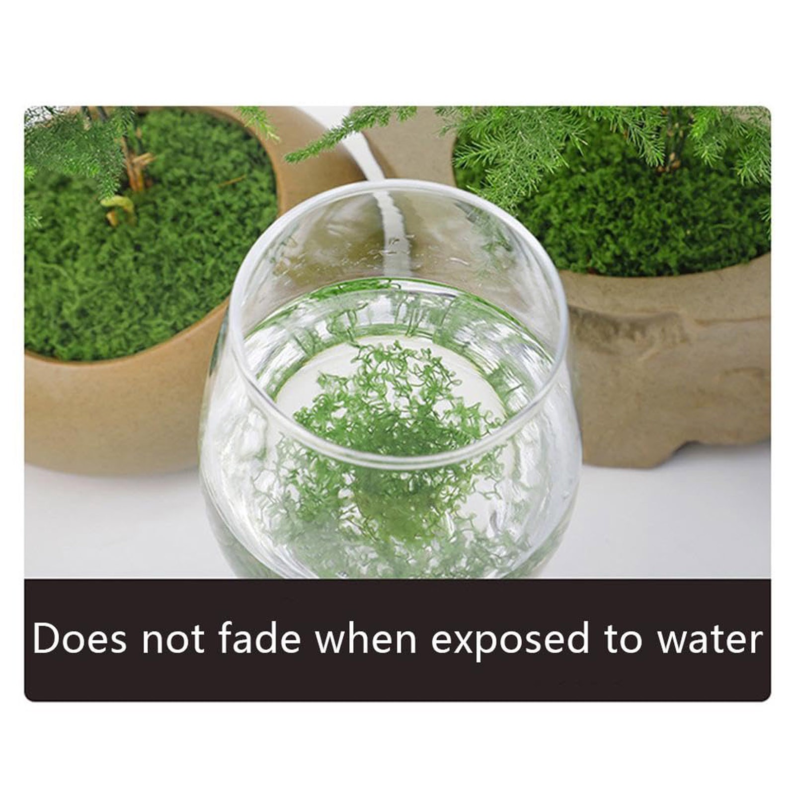 50/200g Artificial Moss For De - Sphagnum Moss Dry avaliação e preço