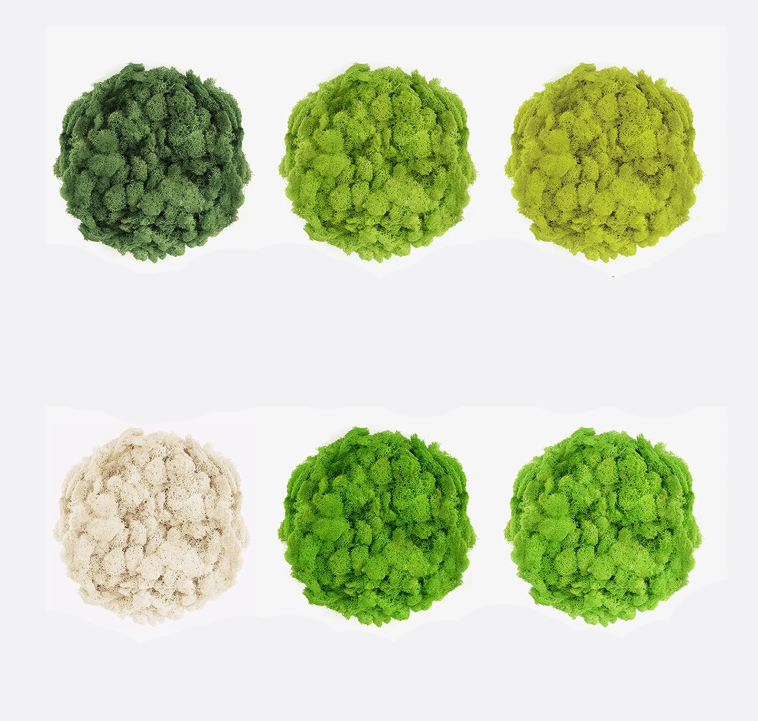 20/40/60g Eternal Life Moss Ar - Sphagnum Moss Dry avaliação e preço