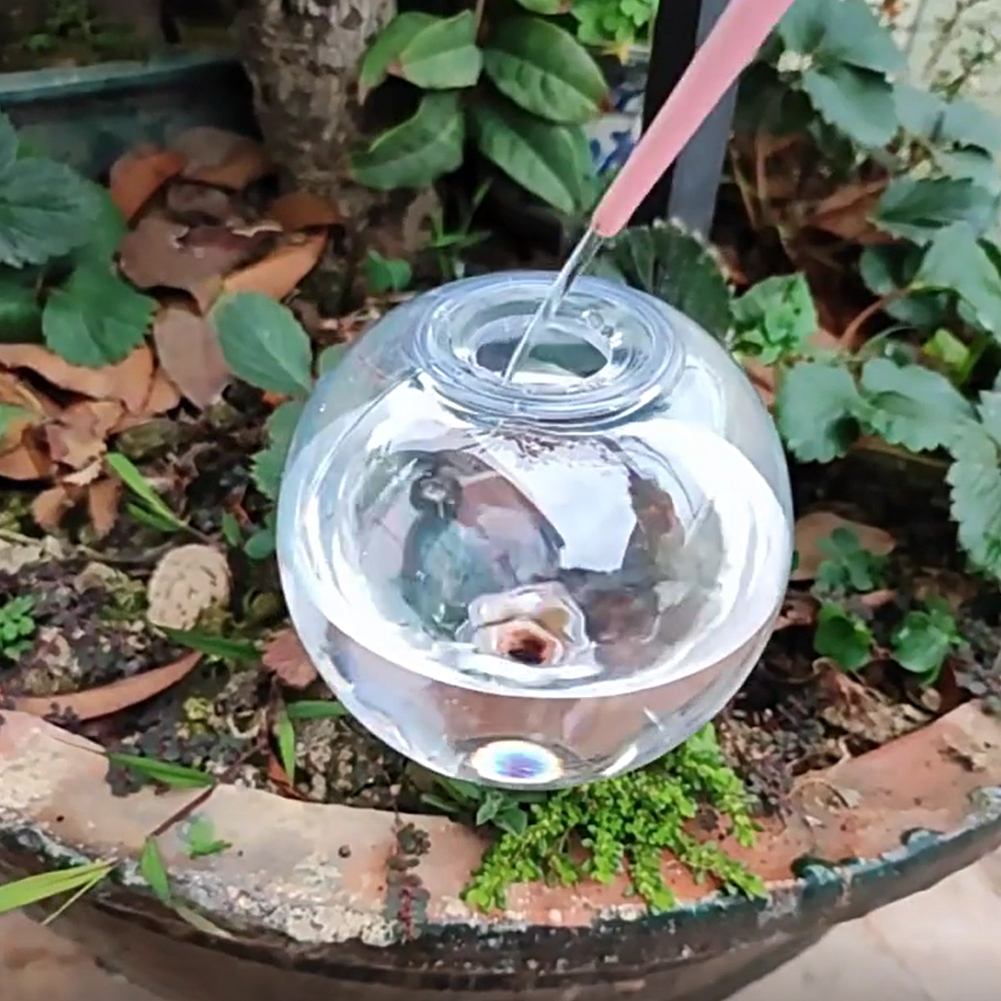 500ML Self Watering Globes Dri - Self Watering Insert avaliação e preço
