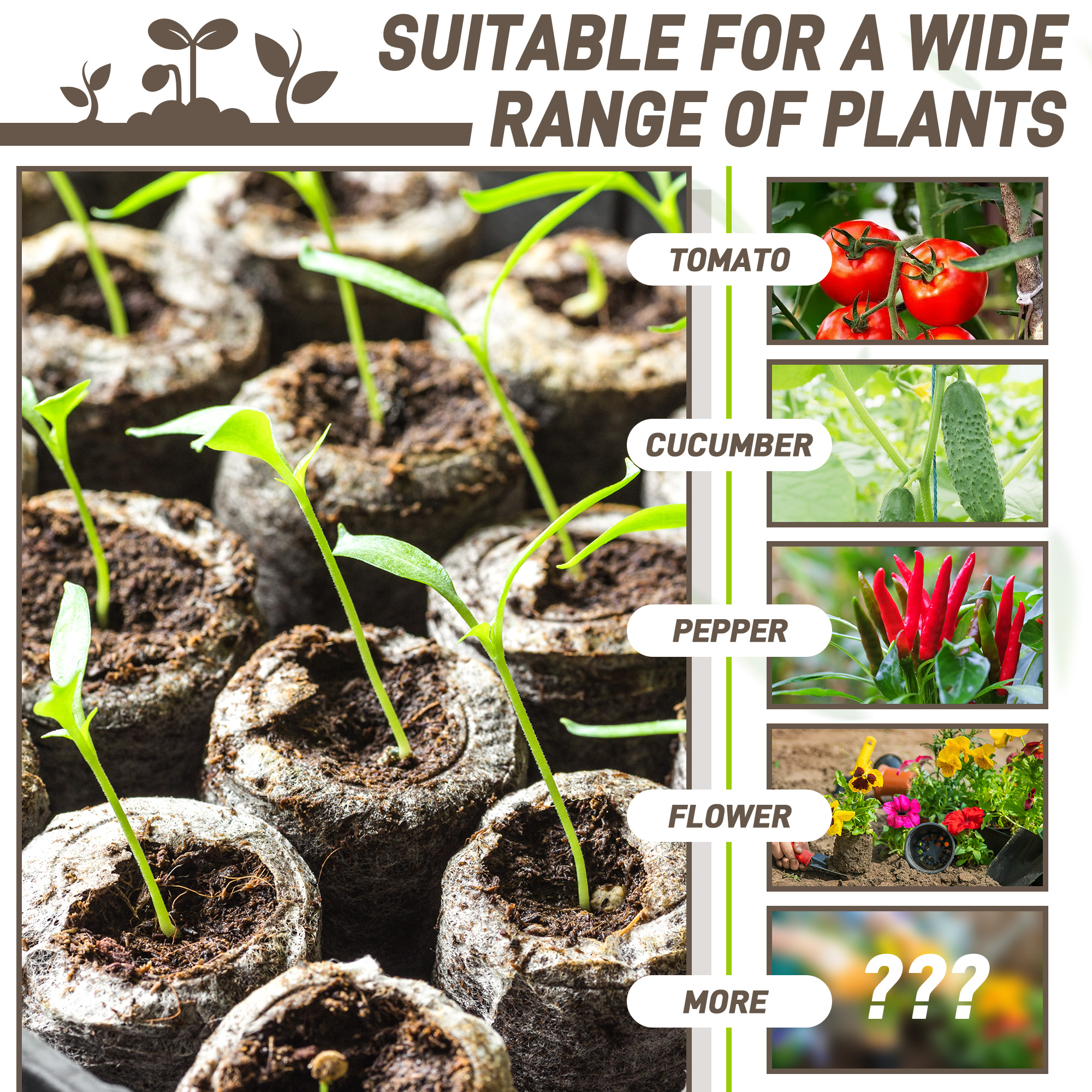 50pcs 35mm Compressed Peat Pel - Peat Pellet Tray avaliação e preço