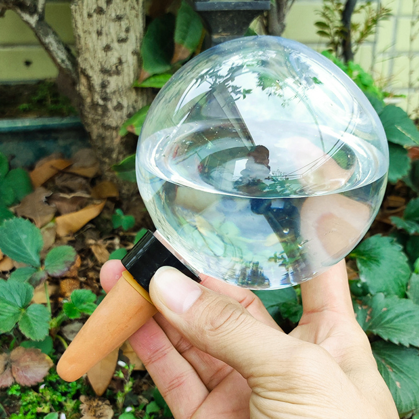 500ML Automatic Plant Watering - Self Watering Insert avaliação e preço