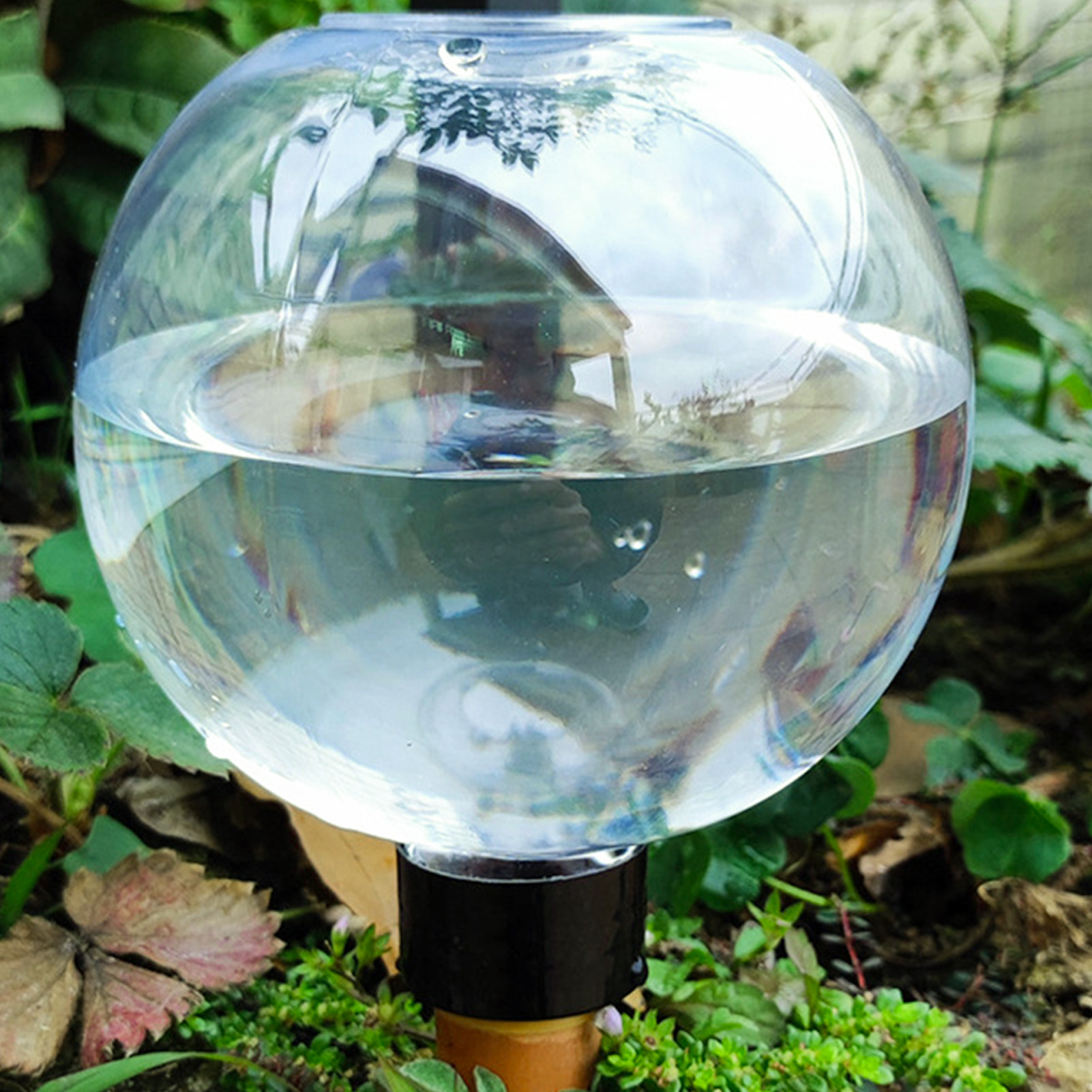 500ML Automatic Plant Watering - Self Watering Insert avaliação e preço