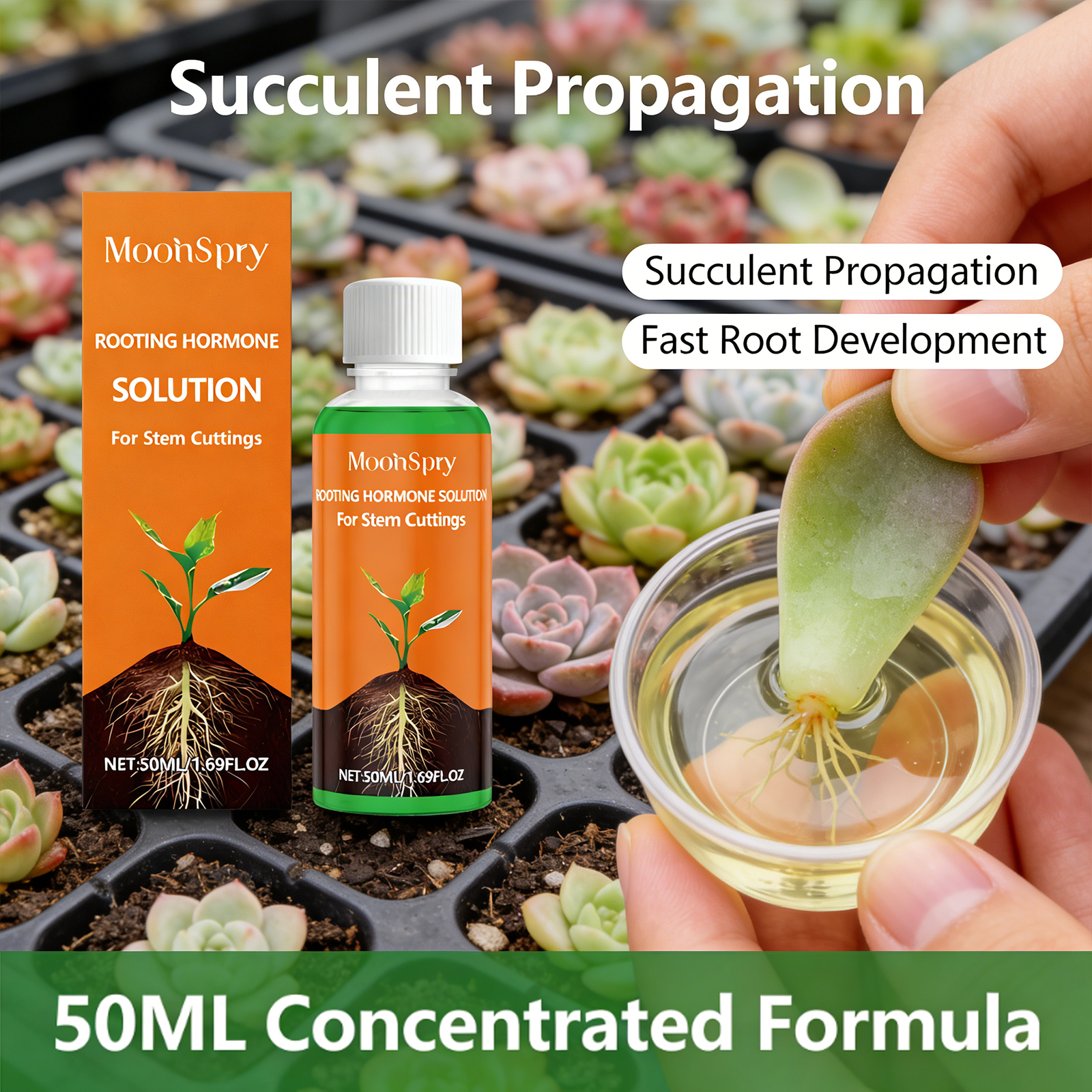 Plant Rooting Agent Effectivel - Root Stimulator Liquid avaliação e preço