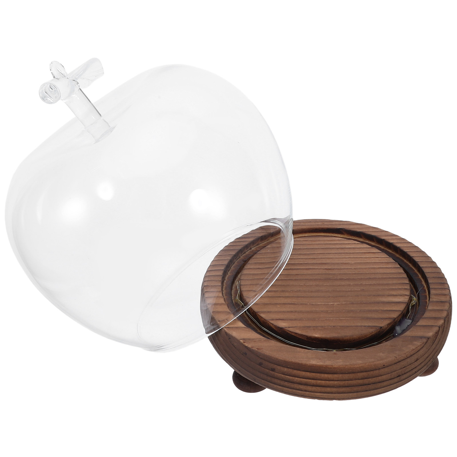 Clear Glass Dome Display with  - Plastic Dome Clear avaliação e preço
