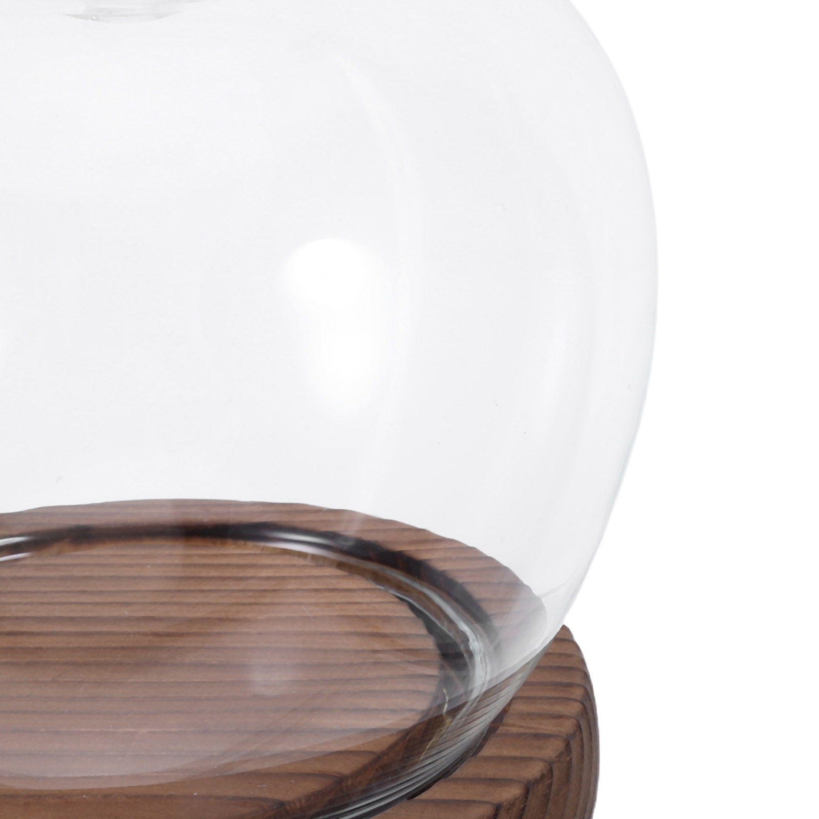 Clear Glass Dome Display with  - Plastic Dome Clear avaliação e preço