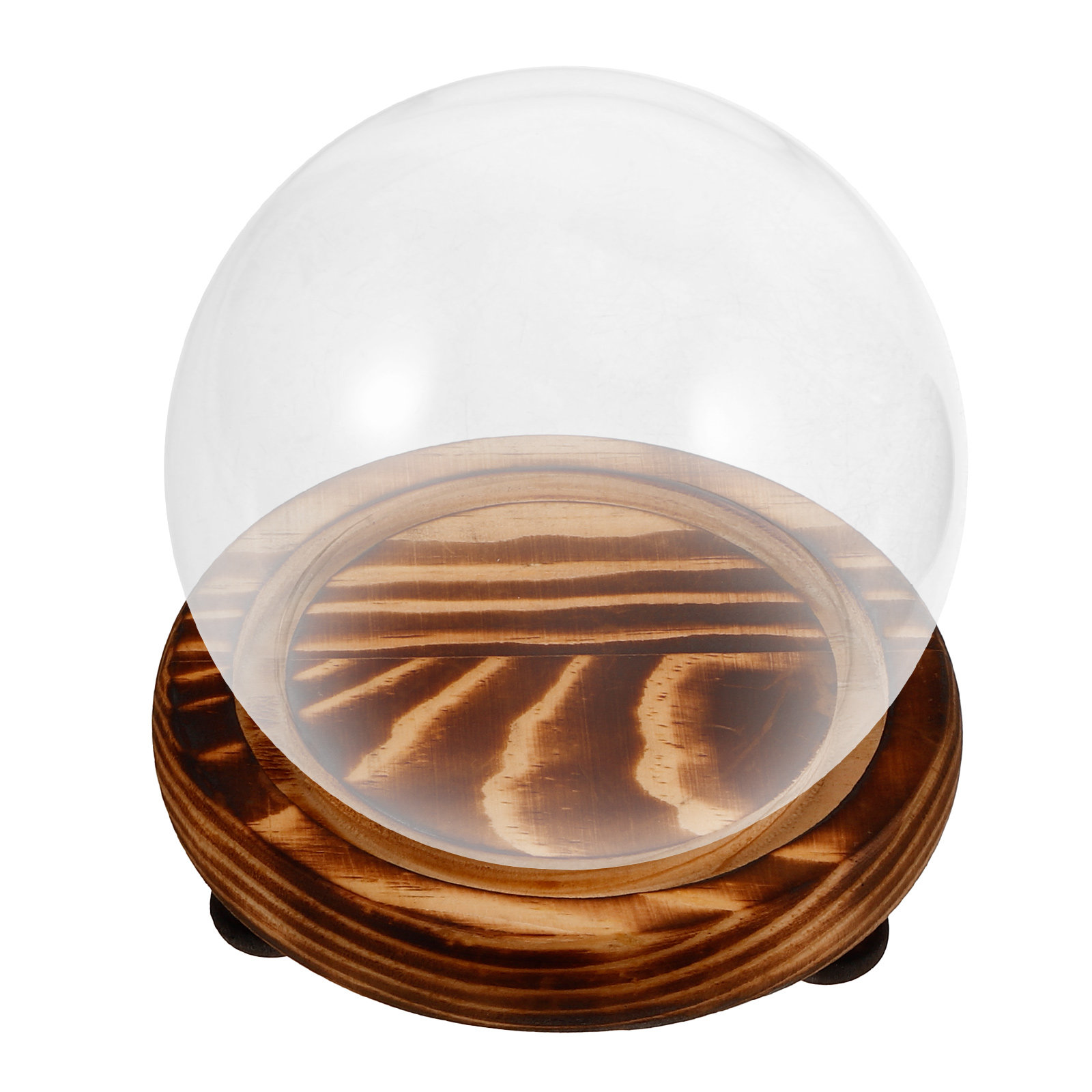 Glass Dome Display Case with W - Plastic Dome Clear avaliação e preço