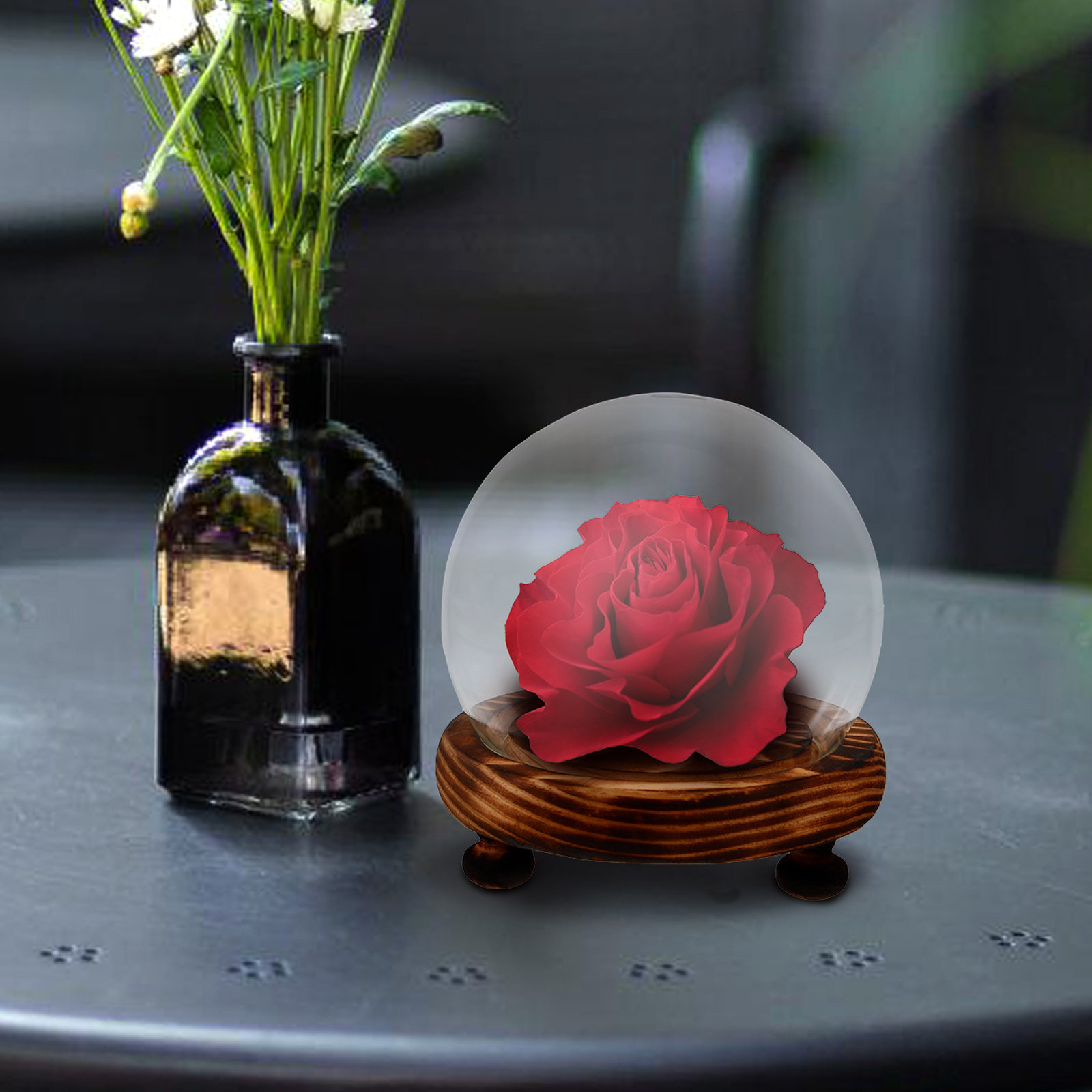 Glass Dome Display Case with W - Plastic Dome Clear avaliação e preço