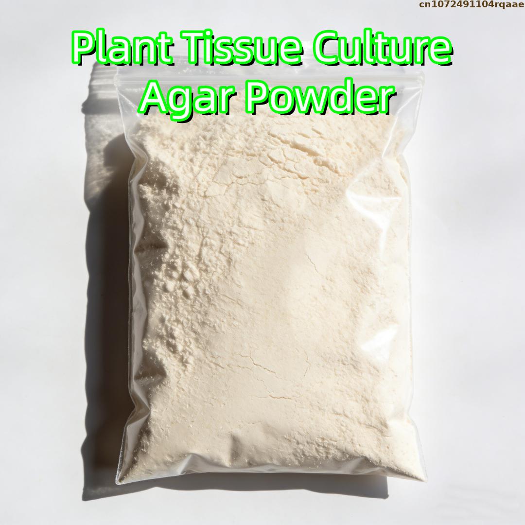 Premium Plant Tissue Culture A - Agar Tissue Culture avaliação e preço