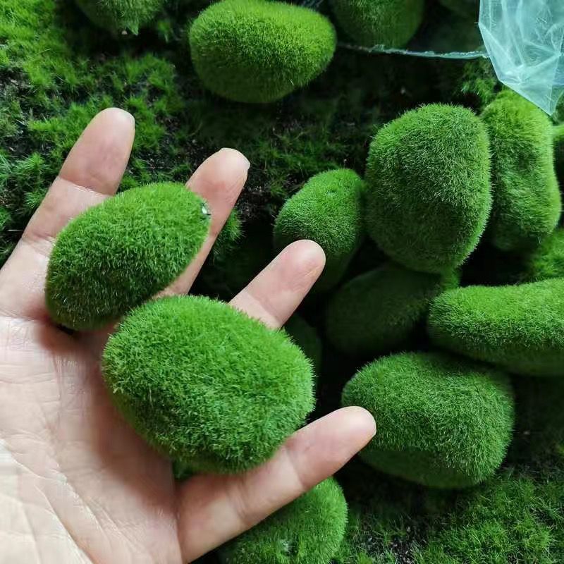 Artificial Green Moss Stones f - Sphagnum Moss Dry avaliação e preço