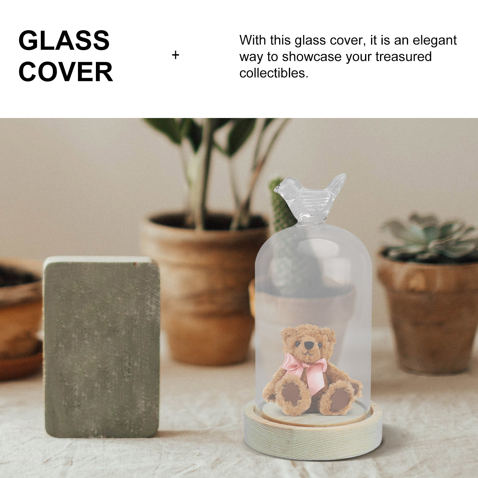 1Pcs Glass Display Cover Clear - Plastic Dome Clear avaliação e preço