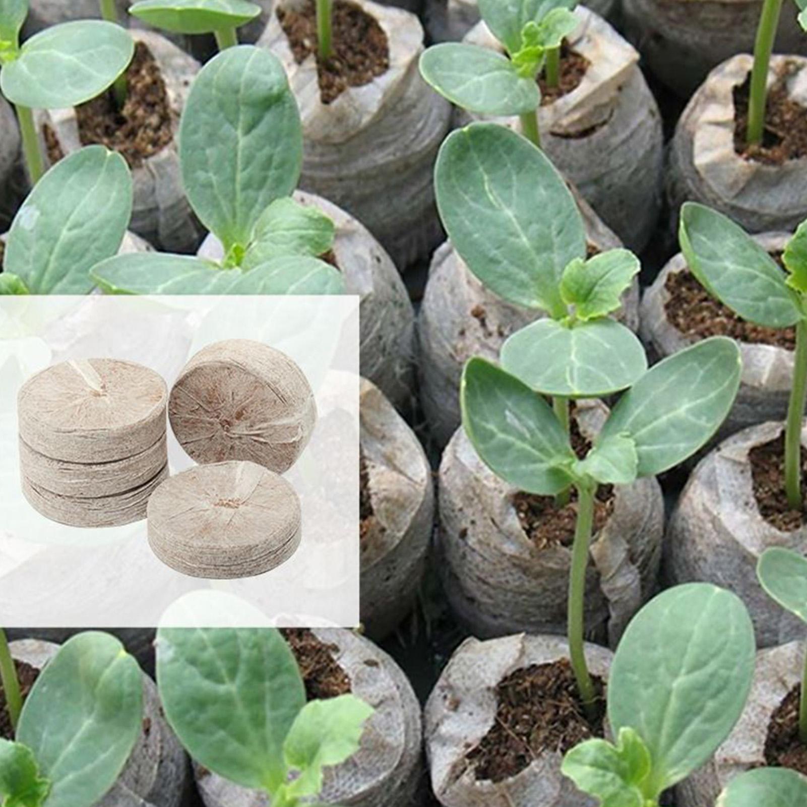 100 Piece Potting Mix Trays 30 - Peat Pellet Tray avaliação e preço