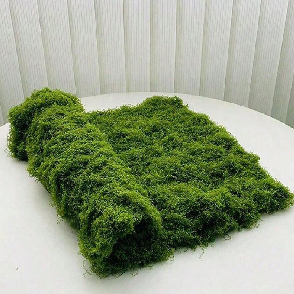 1*1m Fake Moss DIY Crafts Gras - Sphagnum Moss Dry avaliação e preço