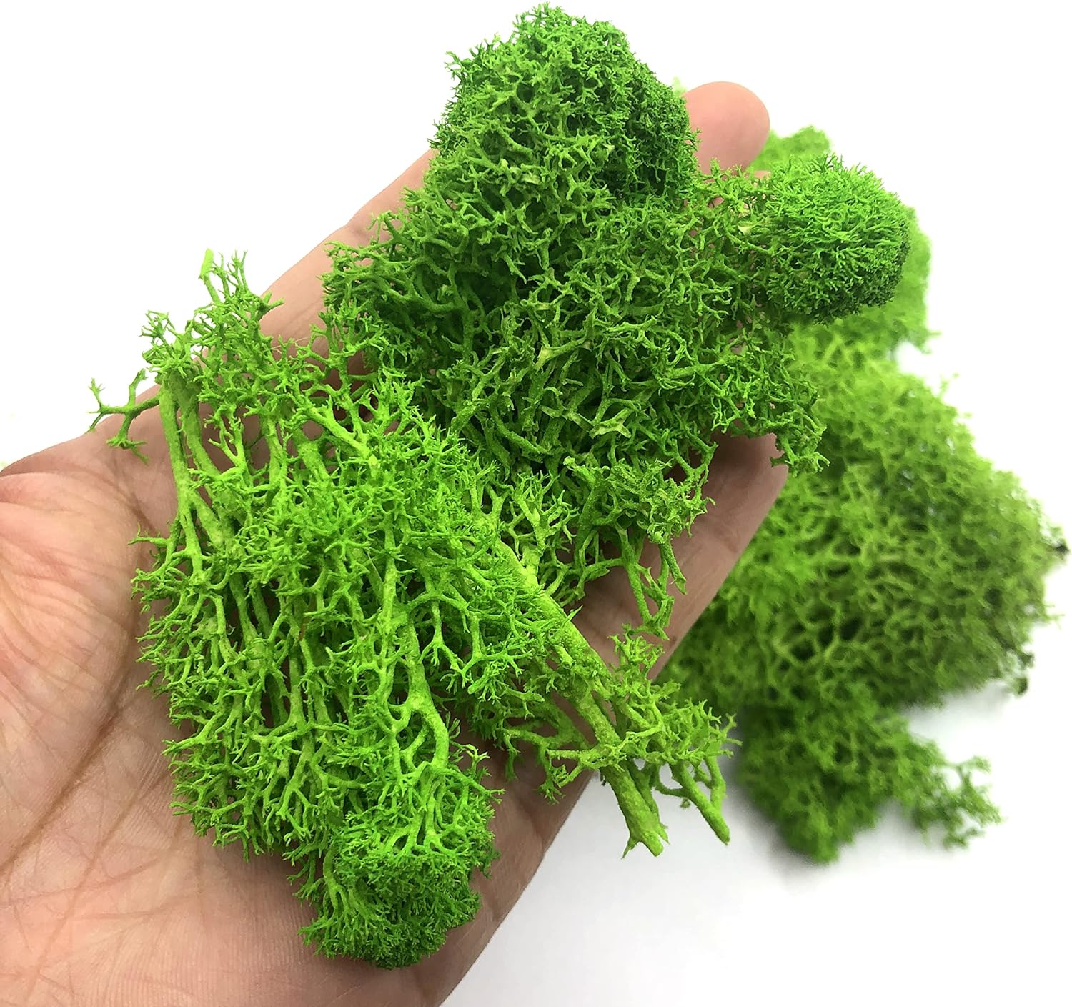 200g Artificial Green Plants M - Sphagnum Moss Dry avaliação e preço