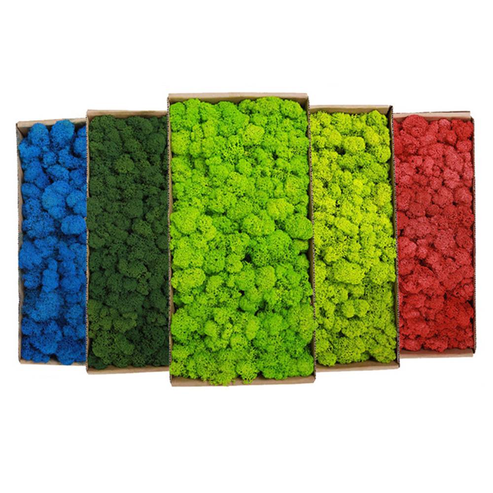 200g Artificial Green Plants M - Sphagnum Moss Dry avaliação e preço