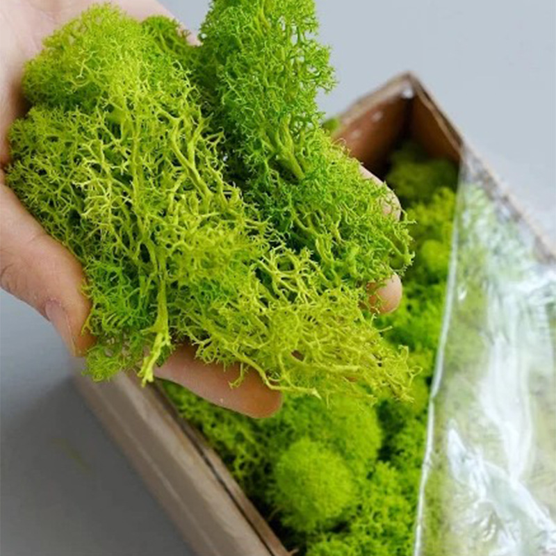 200g Artificial Green Plants M - Sphagnum Moss Dry avaliação e preço