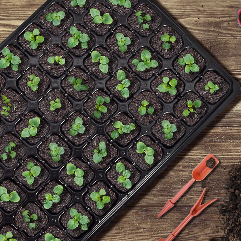 ABGH-10 Pack Seed Starter Tray - Propagation Tray 72 avaliação e preço