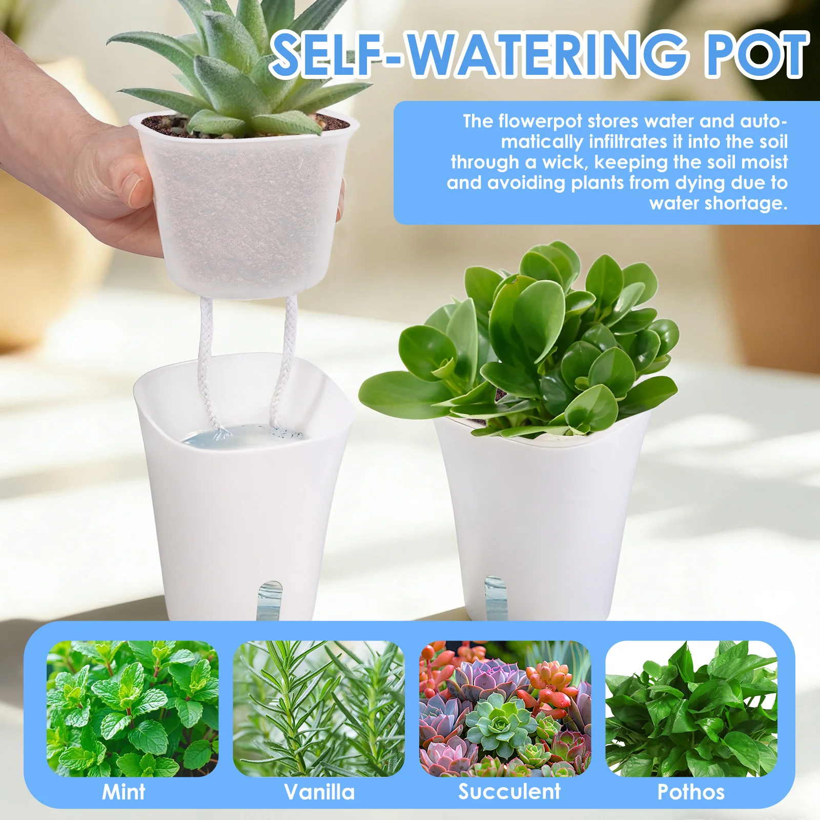 10 Pcs Self Watering Planter L - Self Watering Insert avaliação e preço