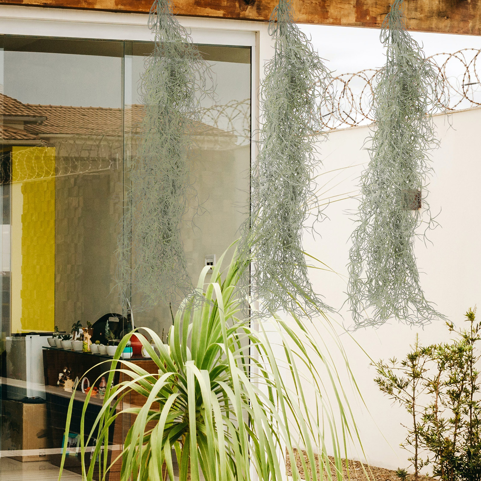 Hanging Moss Decor Artificial  - Sphagnum Moss Dry avaliação e preço