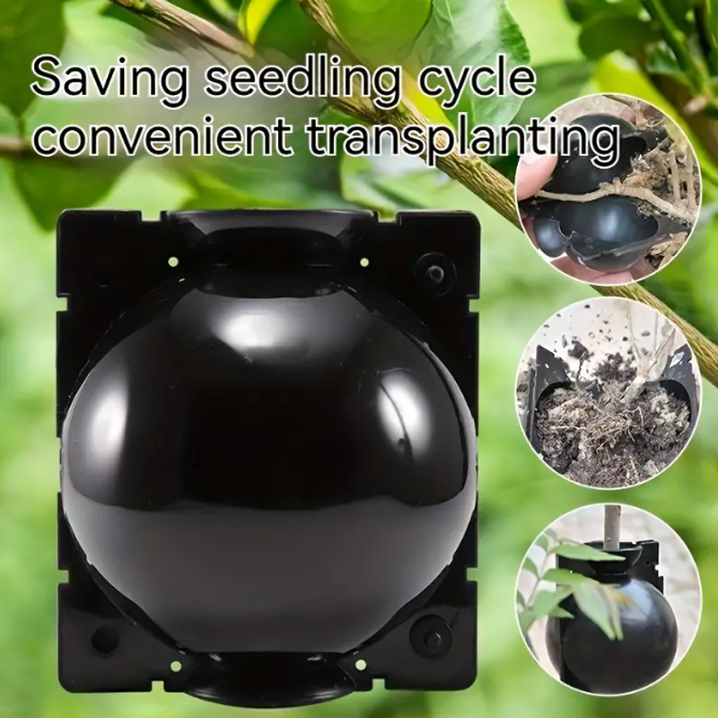 Garden Orchard Plants Grafting - Rooting Gel Clone avaliação e preço