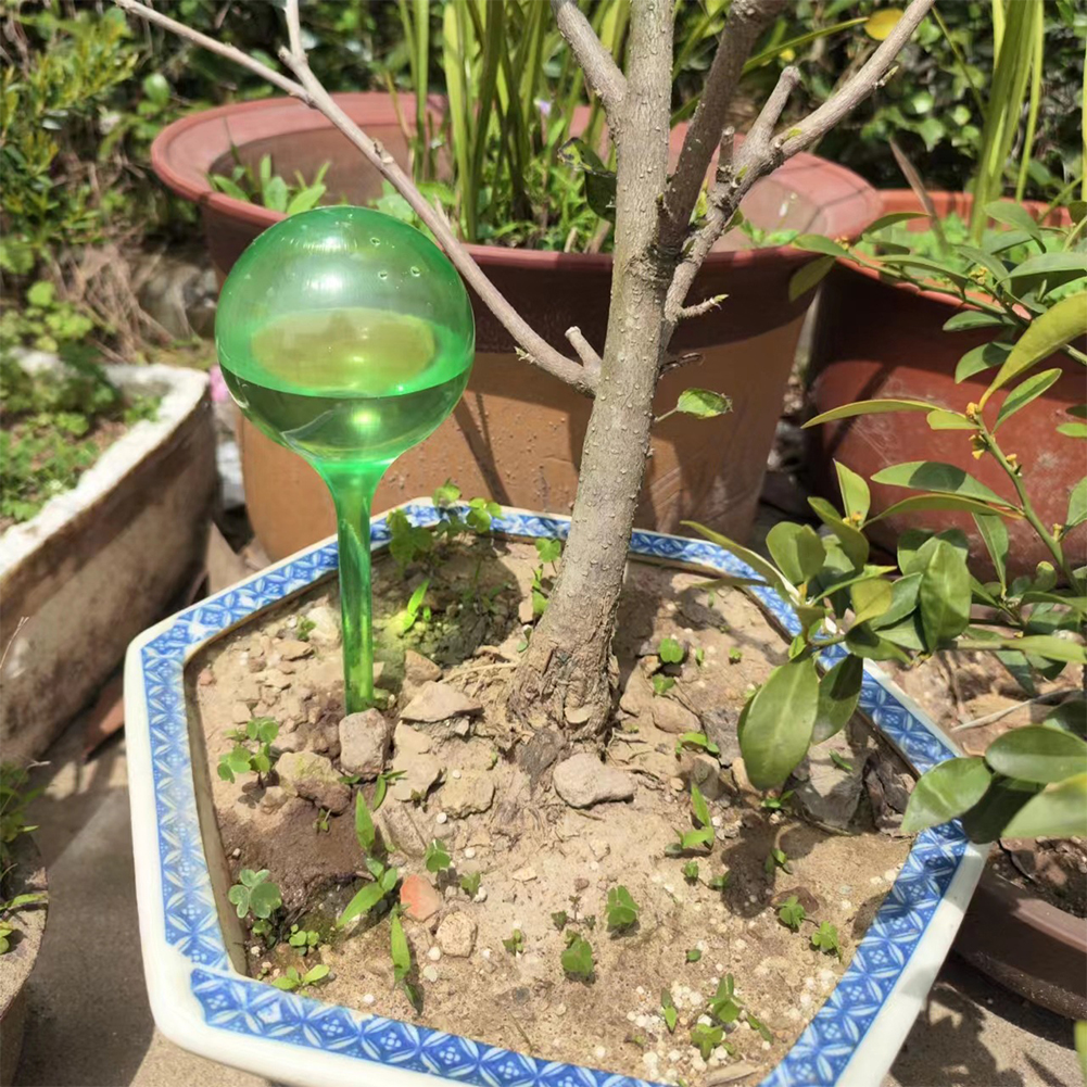 Automatic Plant Watering Bulbs - Self Watering Insert avaliação e preço