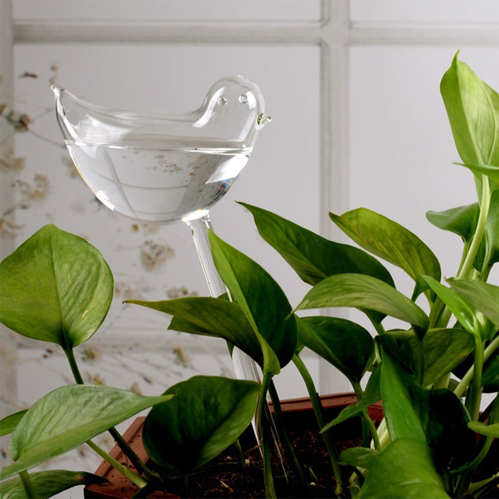 Automatic Plant Watering Bulbs - Self Watering Insert avaliação e preço