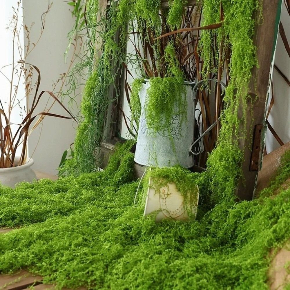 DIY Artificial Grass Rug Durab - Sphagnum Moss Dry avaliação e preço