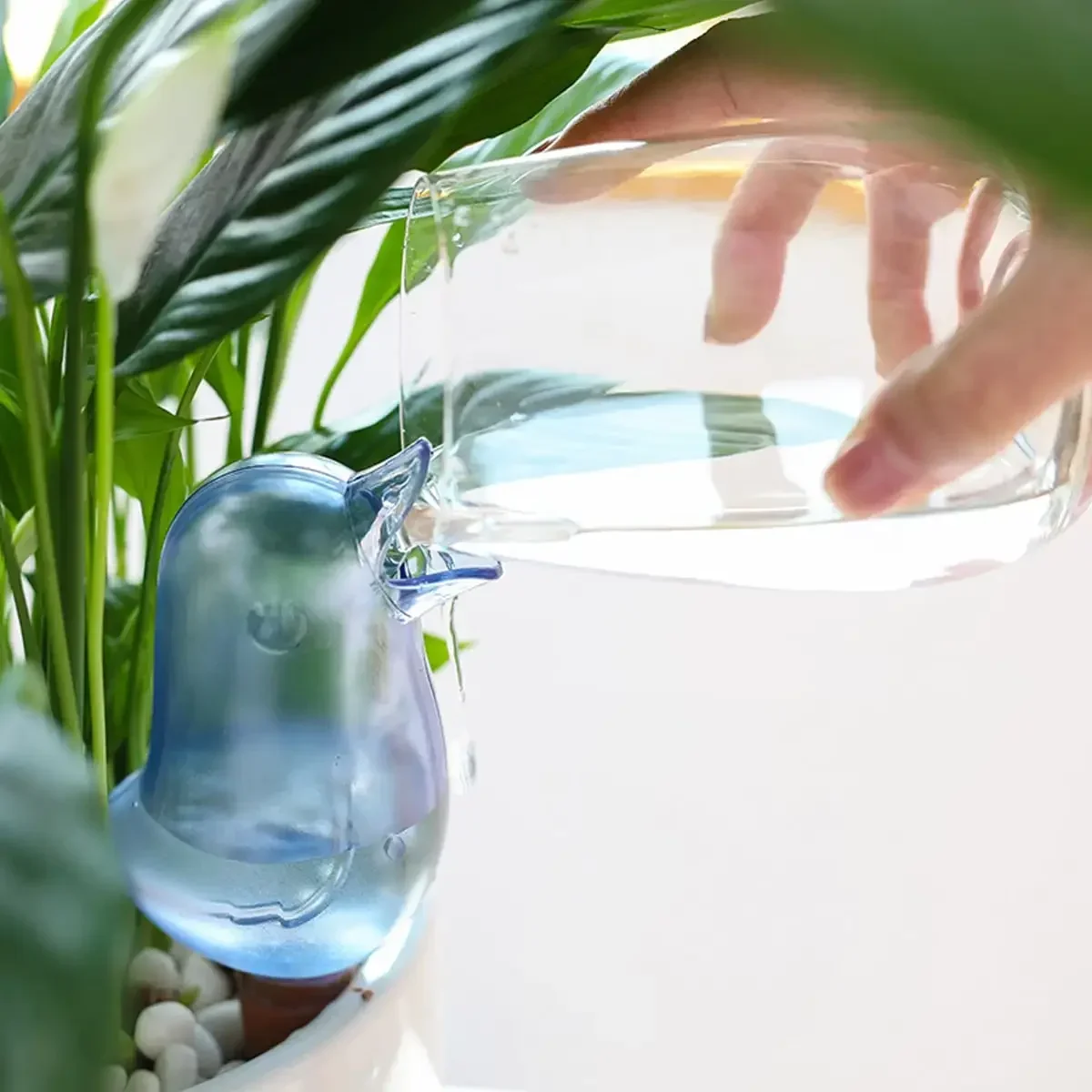 High quality automatic flower  - Self Watering Insert avaliação e preço