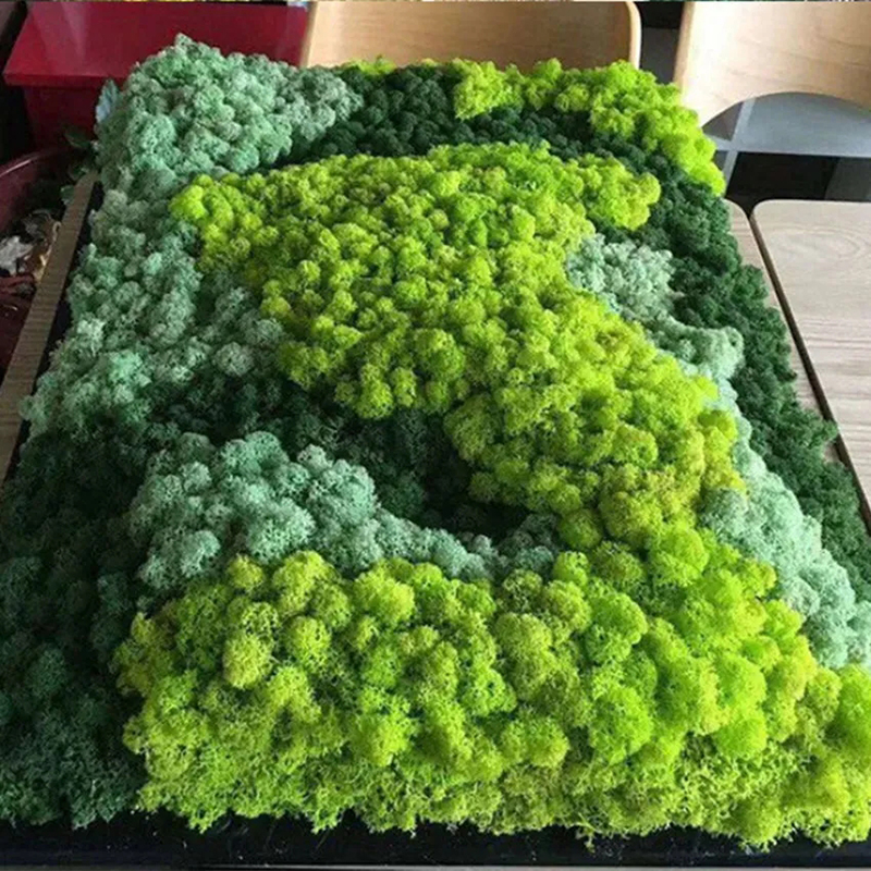 40/20g Artificial Moss Grass G - Sphagnum Moss Dry avaliação e preço