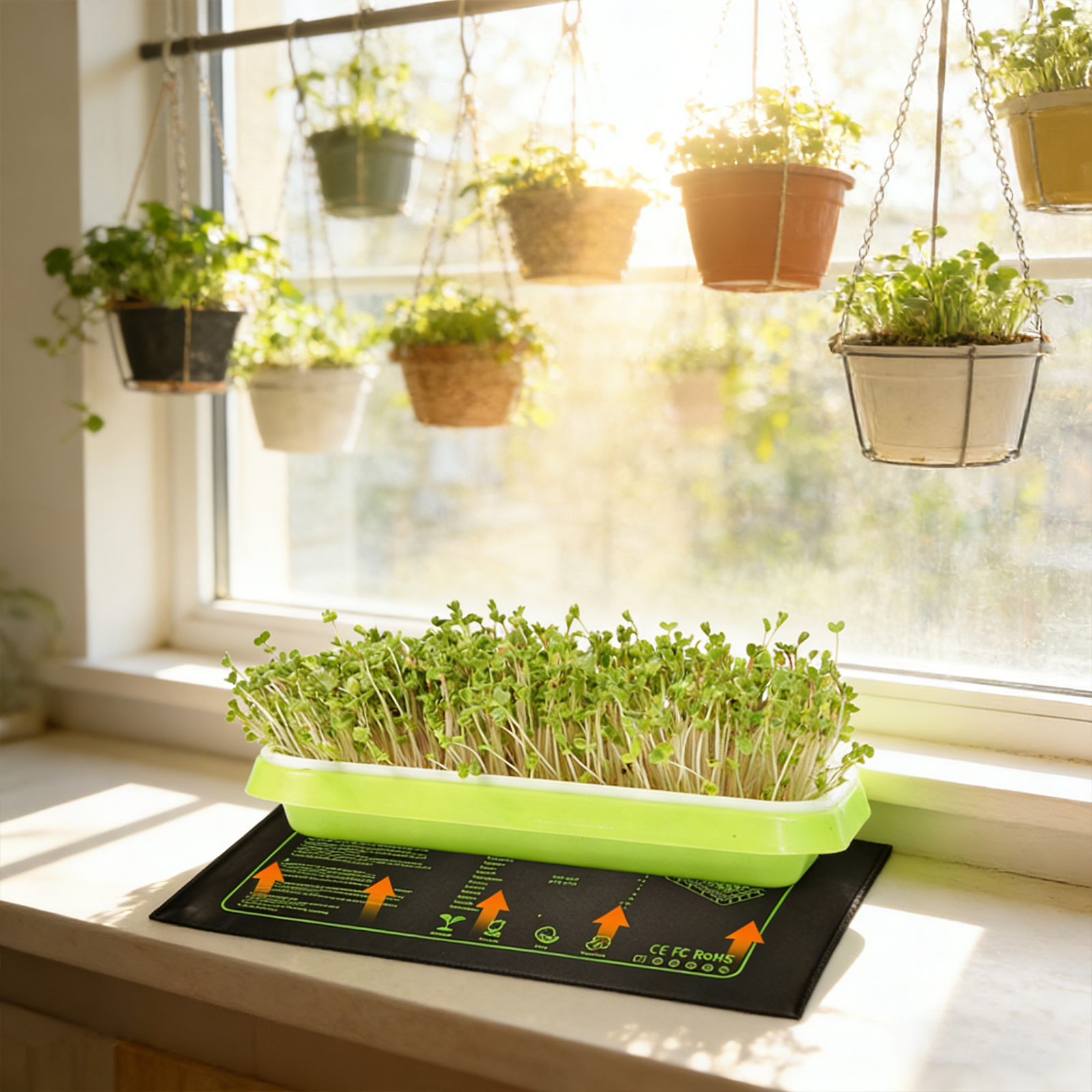 Waterproof Seedling Heat Mat 1 - Heat Mat Seedling avaliação e preço