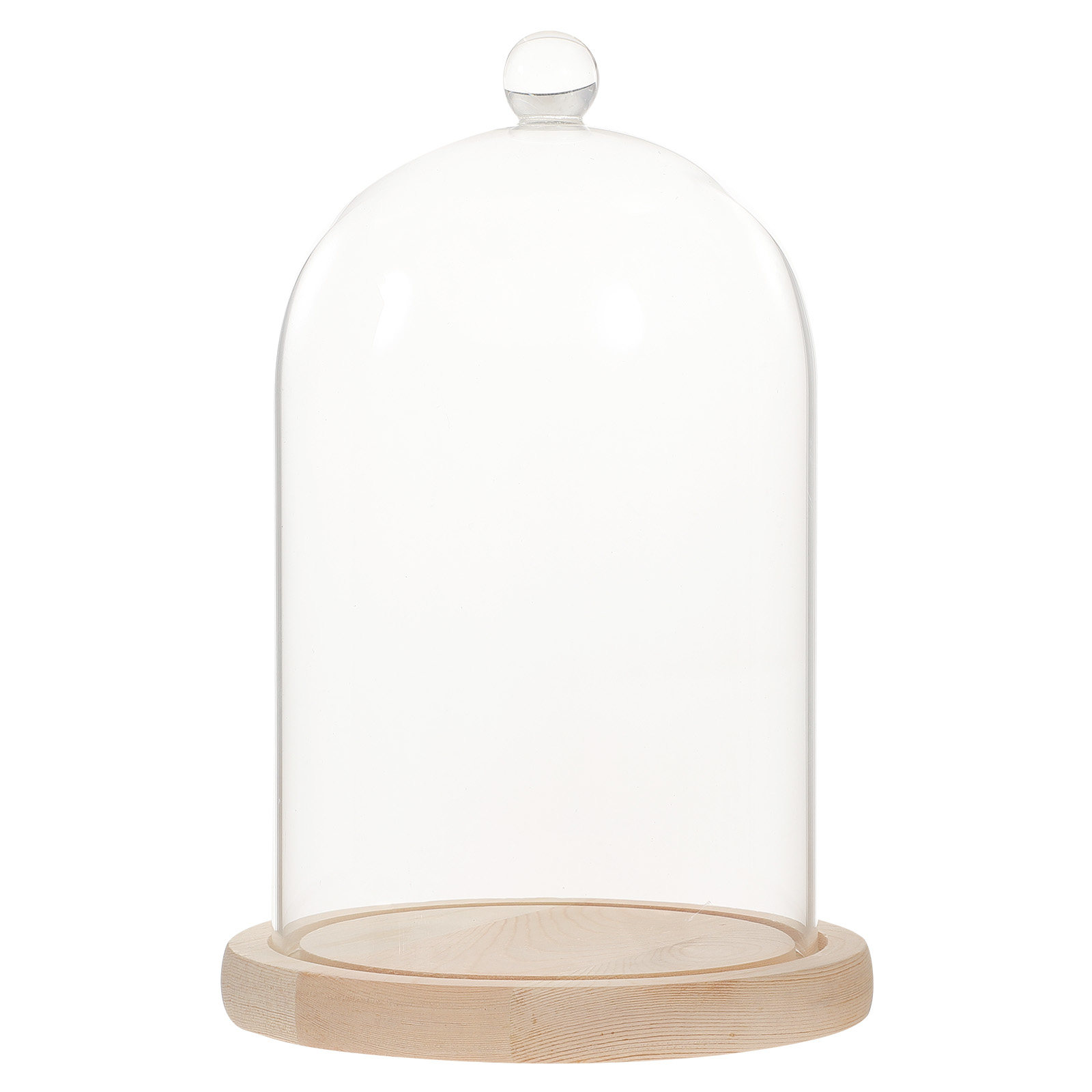 Glass Dome Display Case with B - Plastic Dome Clear avaliação e preço