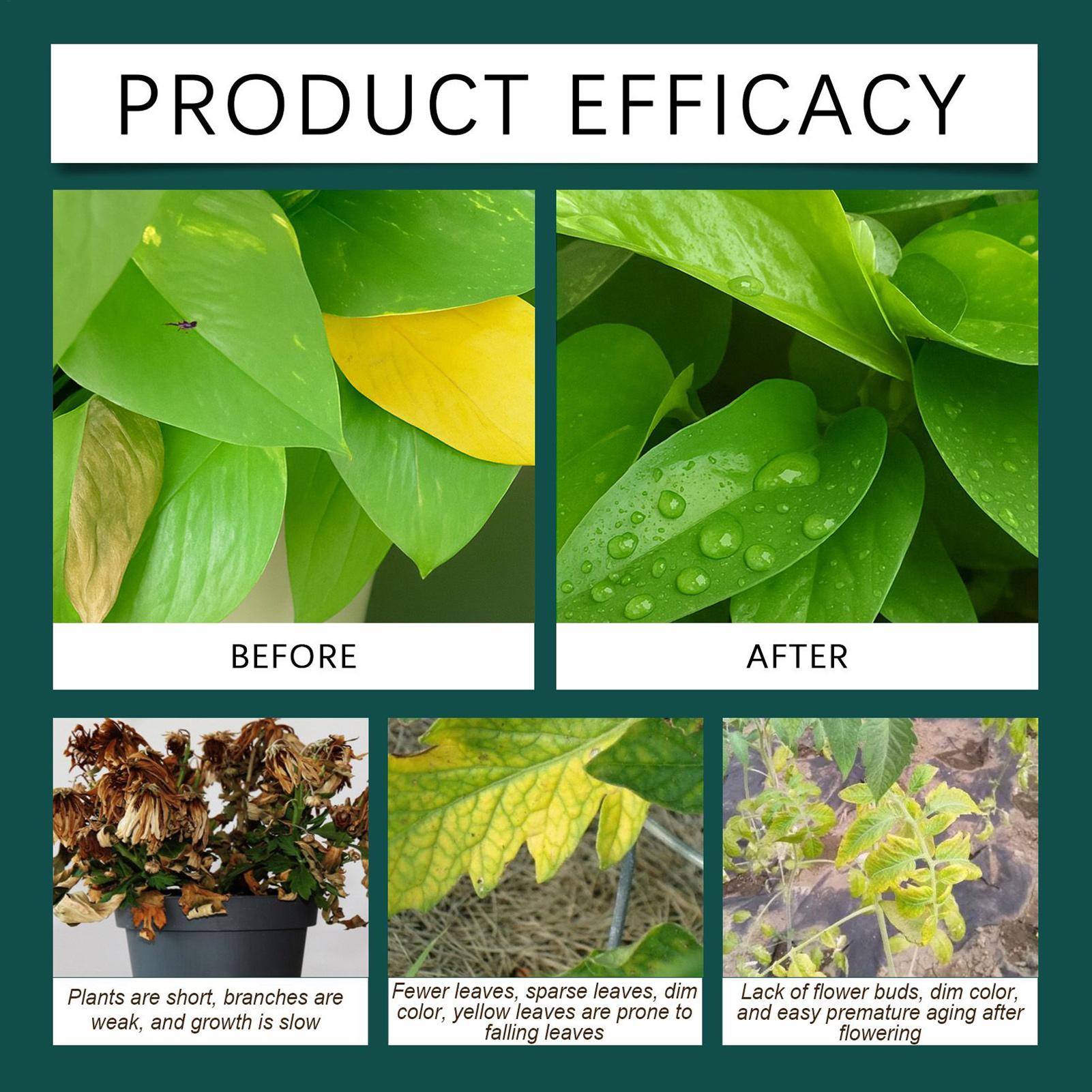 100ml Plant Rooting Liquid Dro - Root Stimulator Liquid avaliação e preço