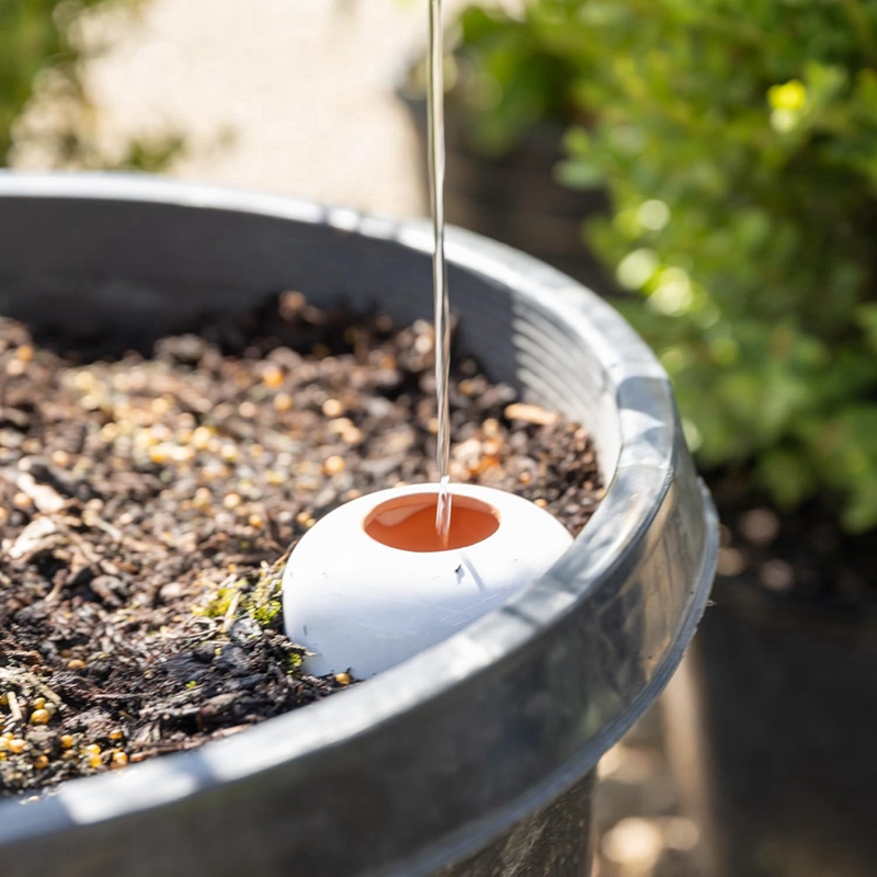 Plant Watering Ball, Terracott - Self Watering Insert avaliação e preço